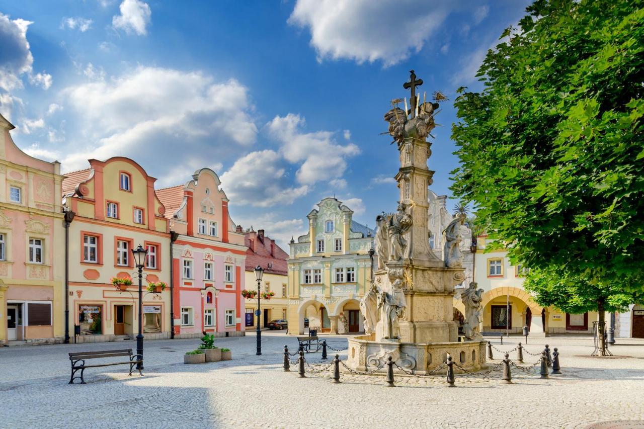 Dom Puchacza W Ladku-Zdroju Villa Ladek-Zdroj Exterior photo